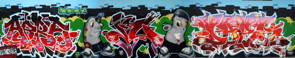 Muro Mtn/Posca en Burgos (2010)