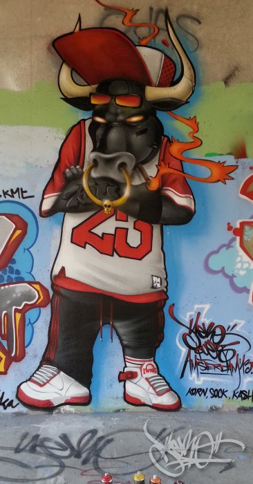 Wall Toro in Amsterdam, Holland (2013)