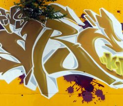 Wall Dare (rip) en Sestao, Bilbao (2010)