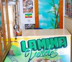 La mina verde Growshop Gallarta-n, Bilbo (2011)