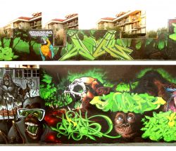 Wall Engorile in Noja, Santander 3 (2011)