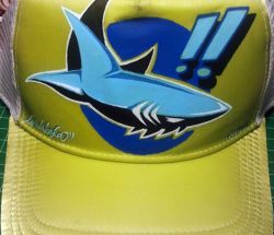 Tibu cap 2012