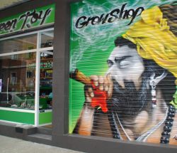 GreenJoy growshop´s metal blind  in Portugalete (Bilbao) 2013