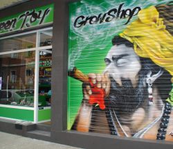 Persiana GreenJoy growshop en Portugalete (Bilbao) 2013